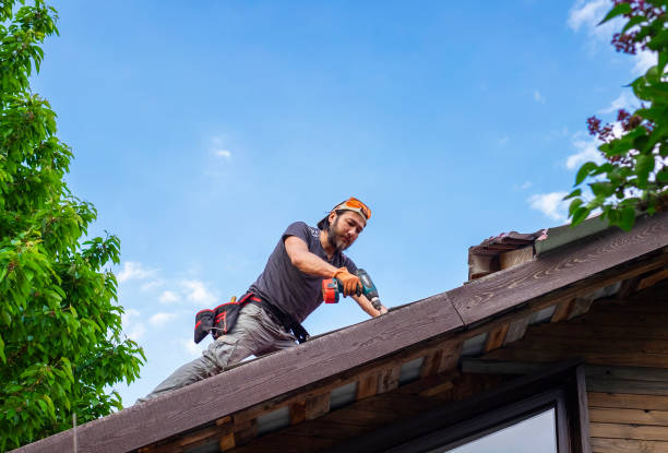 Best Steel Roofing  in Park City, MT